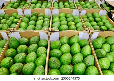 国自产拍在线天天 国自产拍在线天天