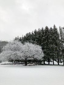 激视频小说区在线观看 激视频小说区在线观看