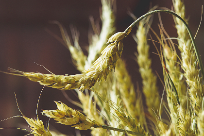 高清有码经典资源 高清有码经典资源